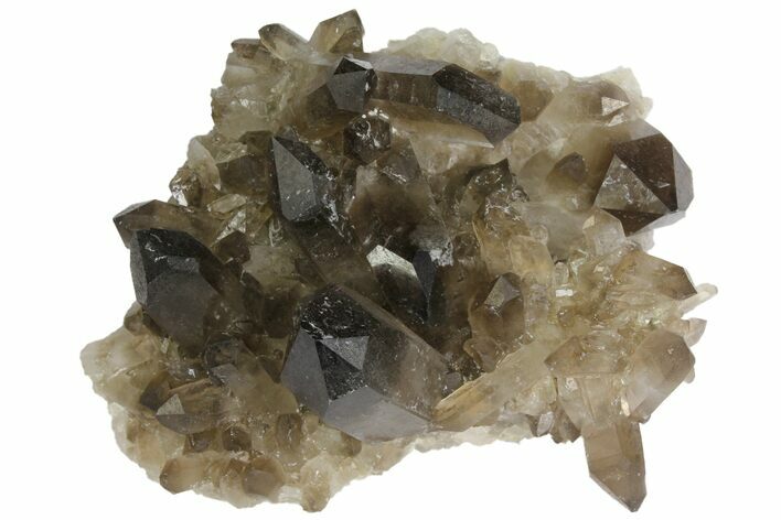 Smoky Quartz Crystal Cluster - Brazil #136166